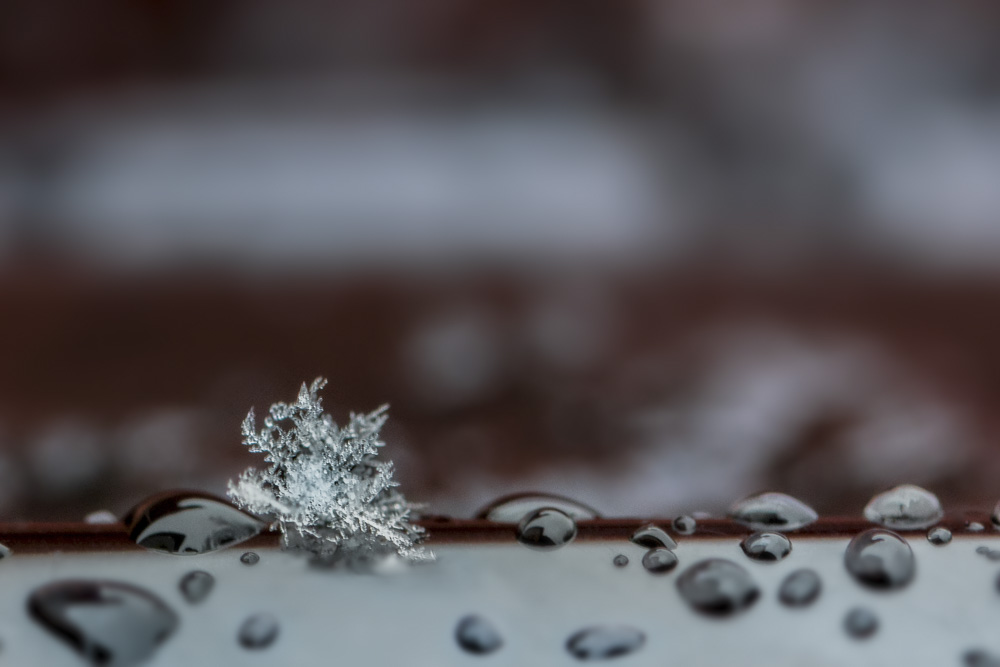 Platz 3 Andreas Doenhuber